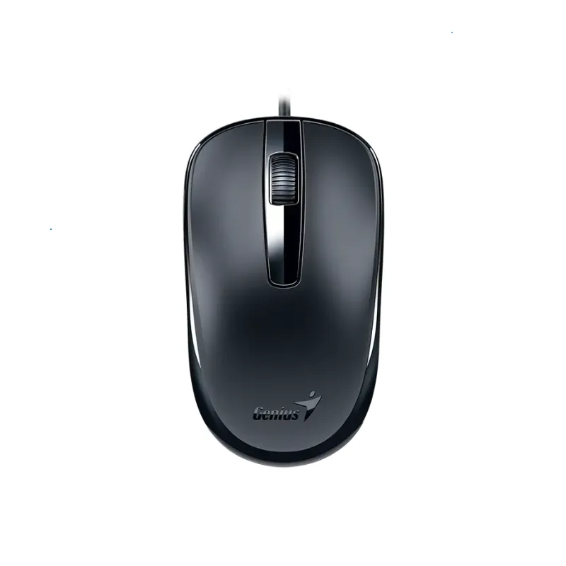 MOUSE GENIUS DX-120,USB-C,BLACK